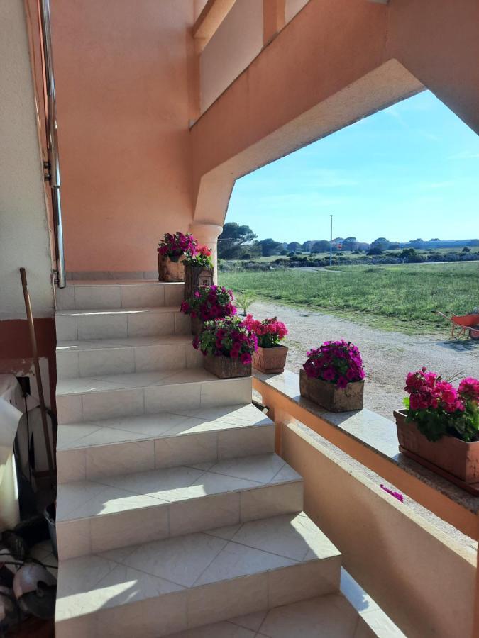 Penzion u Kapitána Apartamento Vir Exterior foto